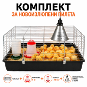 Клетка за Отглеждане на Новоизлюпени Пилета - 95 х 57 х 46 см.